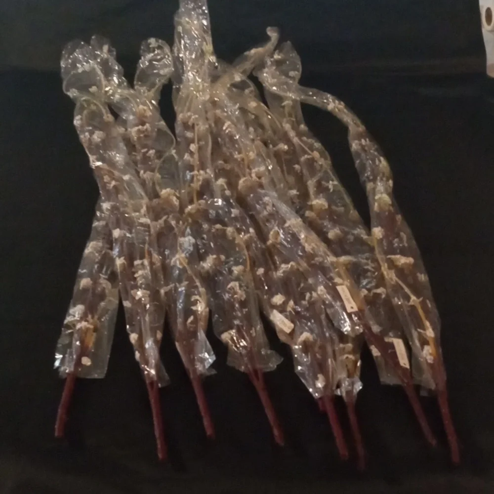10 Pcs .40